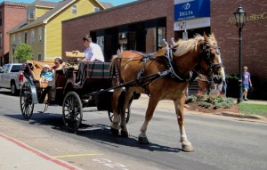 While we ate at sidewalk cafes, tourists passed us in horse drawn carriages, touring the historical sights of Charlottetown.