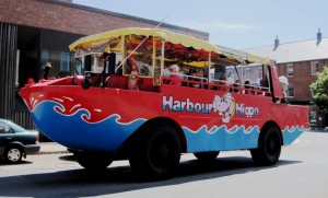 Or they took the Hippo Bus, which surged out of the waters of the harbour nearby and drove on to other landlocked sights of interest...