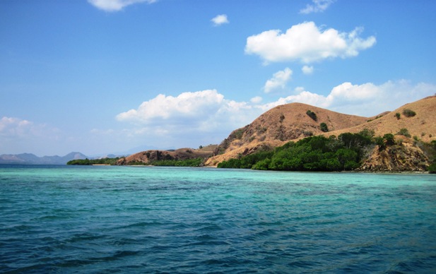 33. Leaving Rinca behind us... Rocky shores fringed with the odd stand of Mangroves...
