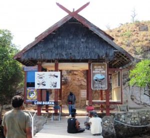7. At the end of the jetty, we were welcomed to Rinca by a group of guides...