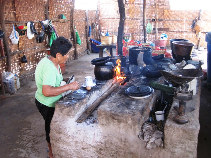 6. "Excuse me madam, but do you recall the health inspector ever visiting these premises...?? No...?? I thought not...!!"