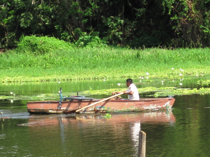 17. This guy was using a strange "left hand forward, right hand back" way of rowing, to cross the channel...